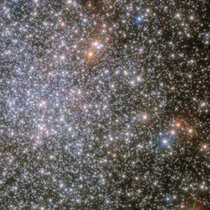 Meet your Posher, Heidi